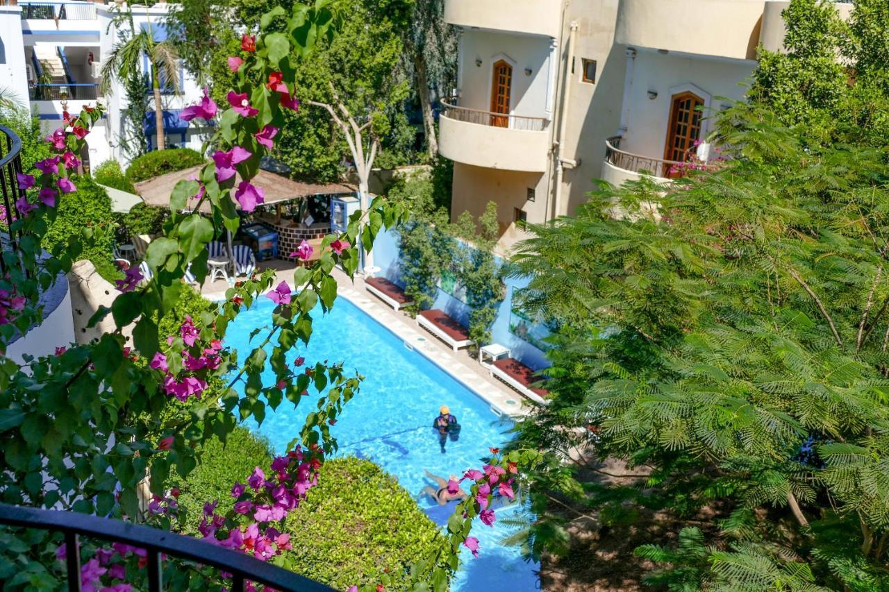 El Gezira Garden Hotel Luxor Exteriér fotografie